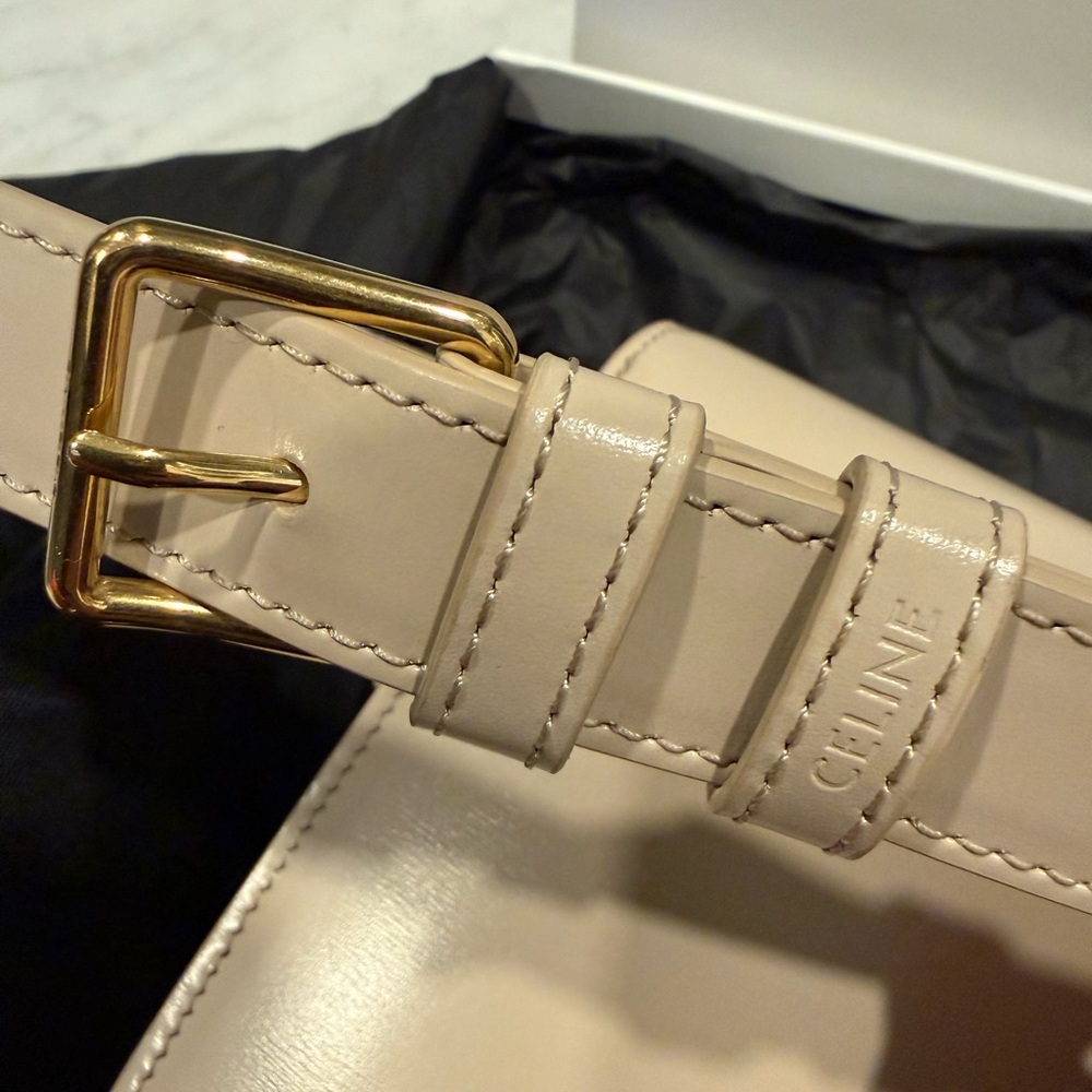 Celine Triomphe Bag in Shiny Calfskin - Picture 10 of 16